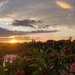 Vanzare ap. 3 cam. cu vedere panoramica pe malul lacului Plumbuita